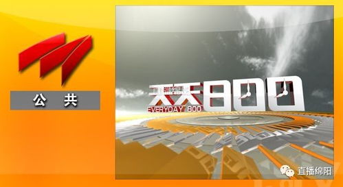 喜迎十九大，主播在行动——广播电视节目制作经营的创新与实践